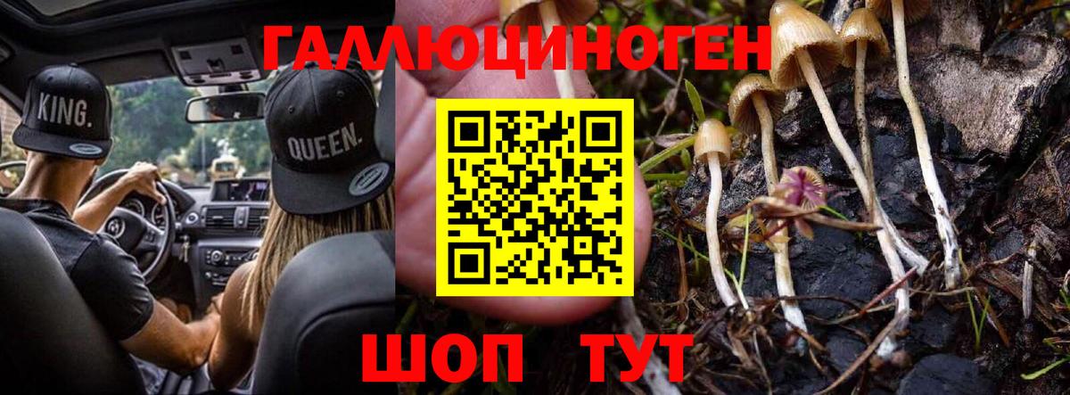 Псилоцибиновые грибы GOLDEN TEACHER Джанкой