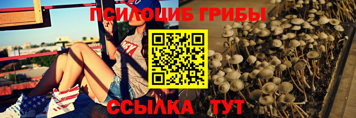 купить   Галлюциногенные грибы Psilocybe  Галлюциногенные грибы мицелий  Вход с VPN  Джанкой 